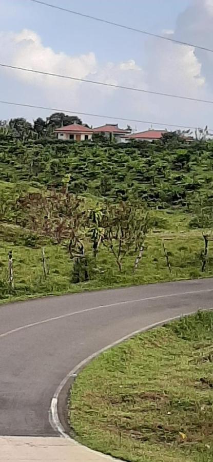 Cabinas El Pilon Rio Celeste Zewnętrze zdjęcie