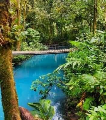 Cabinas El Pilon Rio Celeste Zewnętrze zdjęcie
