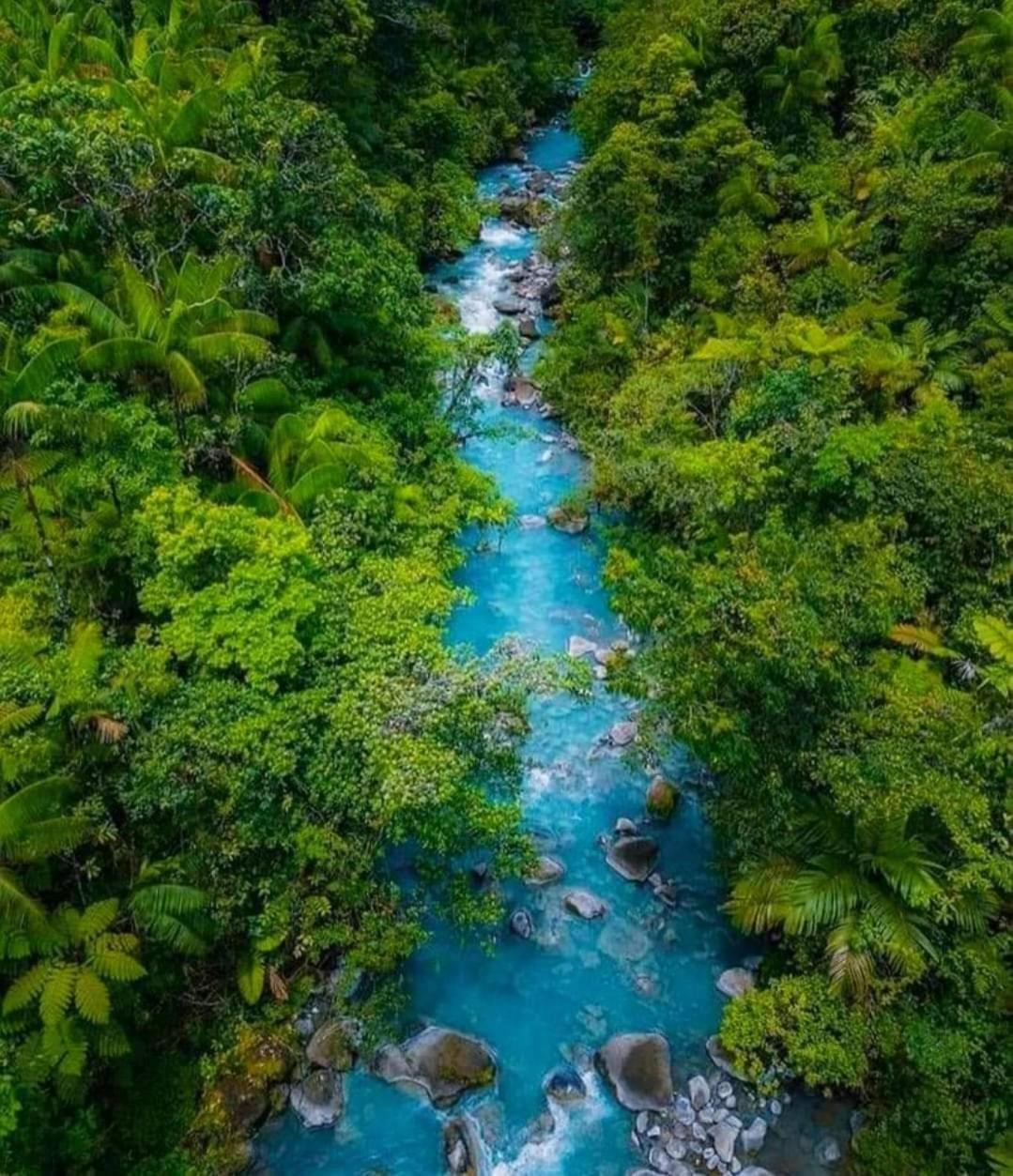Cabinas El Pilon Rio Celeste Zewnętrze zdjęcie